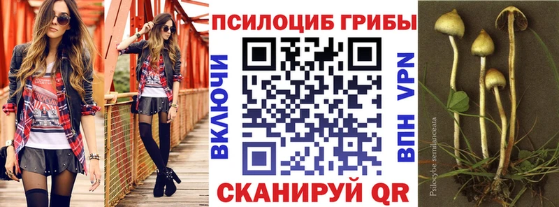 Галлюциногенные грибы Psilocybine cubensis  Купить закладки  Красный Кут 
